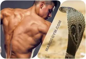 In pictures: The Cobra program to increase the size and width of the back muscles