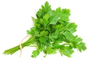 Health benefits and nutritional value of parsley