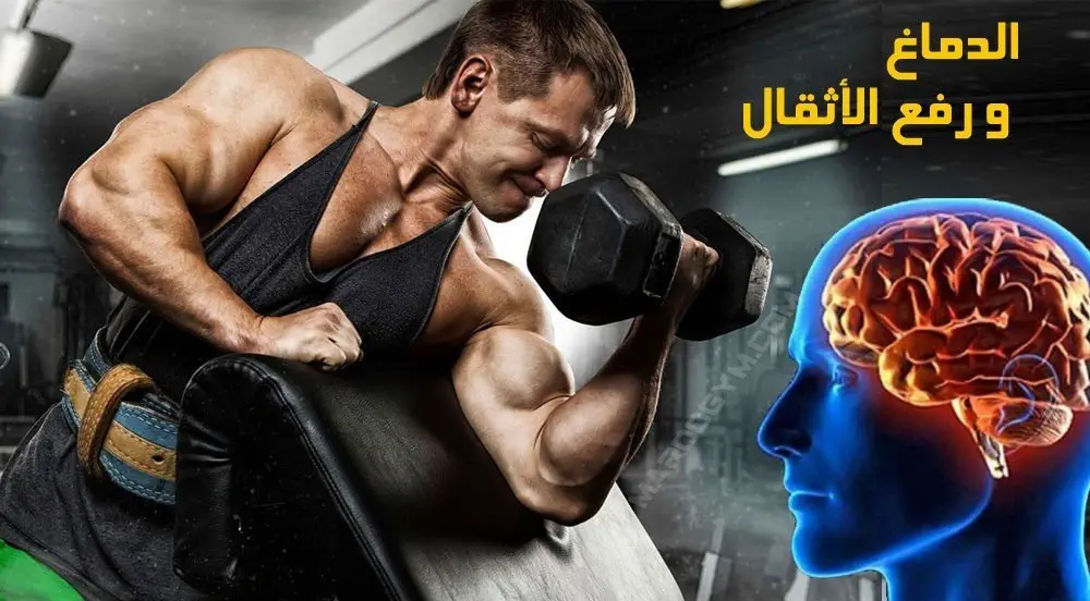 تأثير رياضة رفع الأثقال على الدماغ