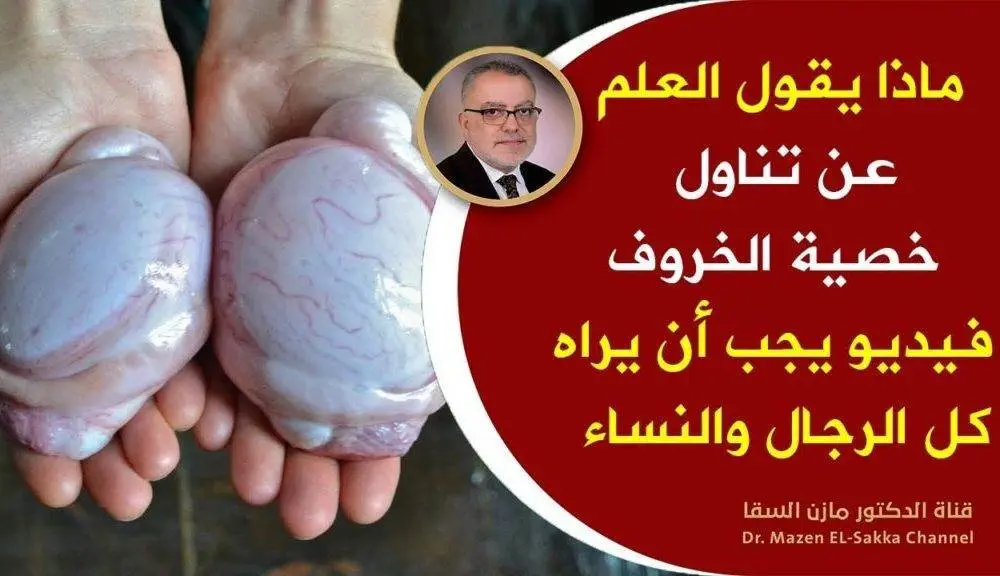 إذا أكلت خصية الخروف أو خصية العجل فأنت تمنح نفسك هذه الكنوز