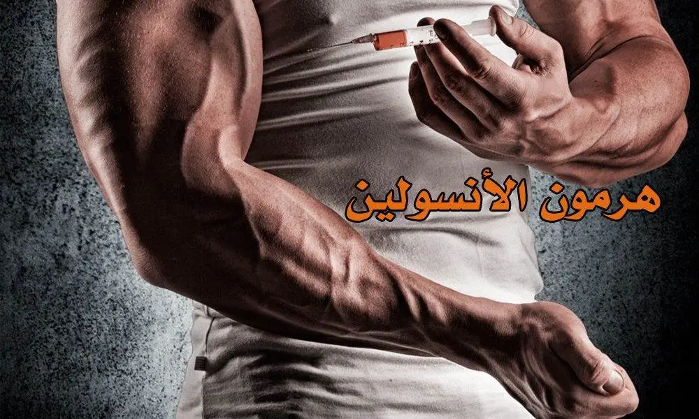 هرمون الأنسولين وعلاقته بالتضخيم العضلي