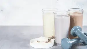 What type of protein absorbs the fastest?