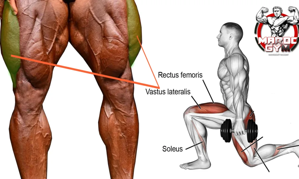 5 Leg exercises targeting the vastus lateralis (outer side of the quadriceps muscle)