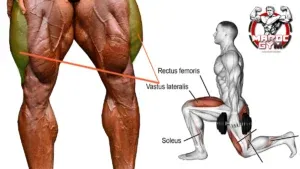 5 Leg exercises targeting the vastus lateralis (outer side of the quadriceps muscle)