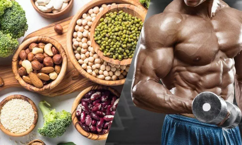 Discover the best plant-based foods rich in protein