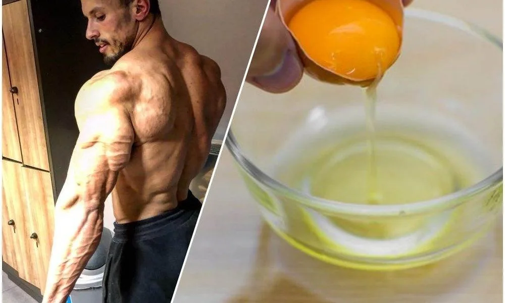 لماذا لا ينصح بإكثار من صفار البيض بالنسبة للاعب بناء الأجسام