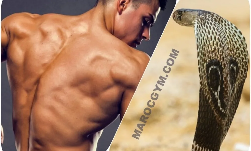 In pictures: The Cobra program to increase the size and width of the back muscles