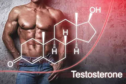 Natural testosterone boosters