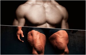 بالصور حصة الصدر و الأرجل مكررة