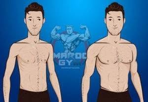 نصائح مهمة لزيادة الوزن بالنسبة للجسم ايكتومورف
