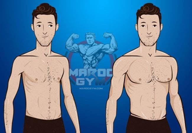 نصائح مهمة لزيادة الوزن بالنسبة للجسم ايكتومورف