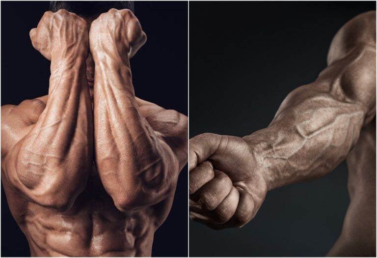 أفضل التمارين لتقوية عضلة الساعد - صورة 6