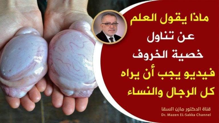 إذا أكلت خصية الخروف أو خصية العجل فأنت تمنح نفسك هذه الكنوز