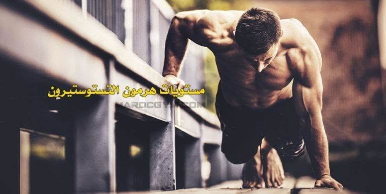 كيف تؤثر التمارين الرياضية والعادات اليومية في مستوى هرمون التستوستيرون لديك؟ - صورة 3