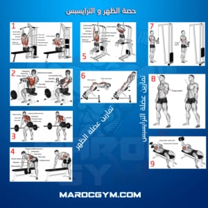 تمارين حصة الظهر و الترايسبس