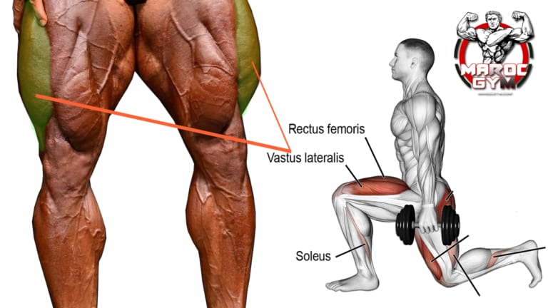 تمارين حصة الأرجل استهداف الفاستس لاتيرال vastus lateralis (الجانب الخارجي لعضلة الفخد) - صورة 6