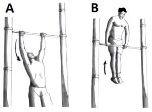 رياضي يؤدي تمرين الماسل أب (Muscle-up)