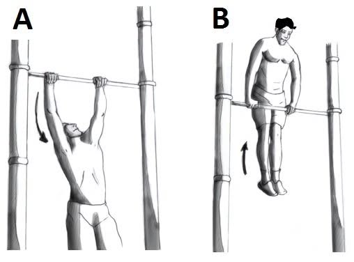 رياضي يؤدي تمرين الماسل أب (Muscle-up)